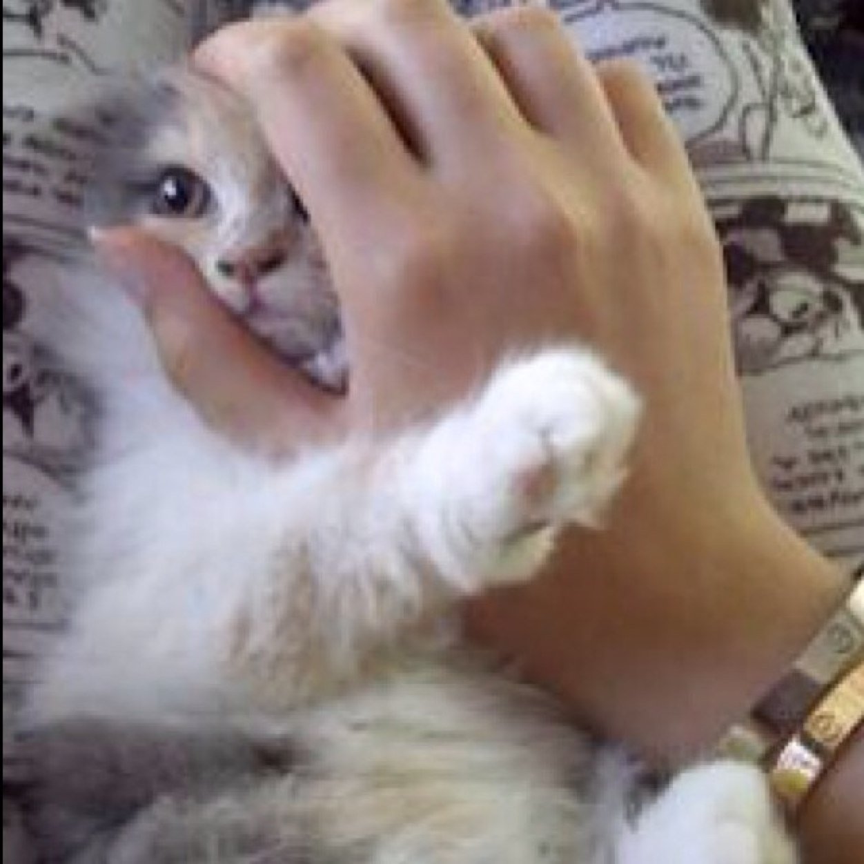 。。