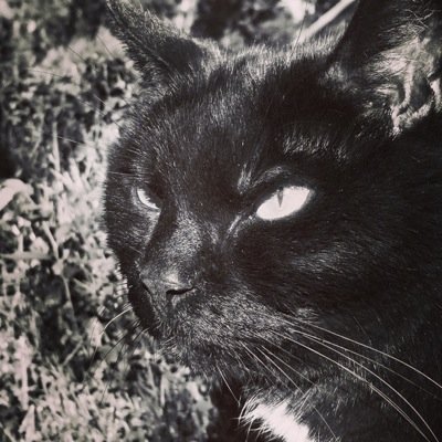 LarsTls's profile picture. 