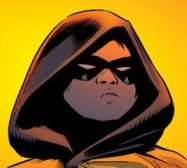 The son of Bruce Wayne and Talia al Ghul. Trained by the League of Assassins all my life, I joined my father’s side by becoming the fifth Robin.