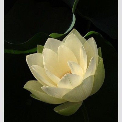 BettySzondi's profile picture. 