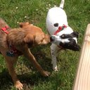 Tracey peters - @traceypeters66 - Twitter