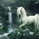 Diego armando Molina (@2359dragon) Twitter