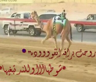 السبق لا يمكن لحد مستقره“   لكن علمات التفوق جداره