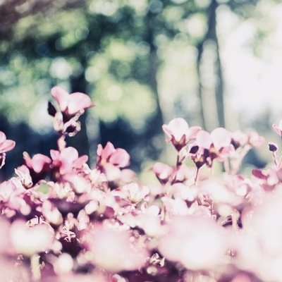 كعبة المضيوم✨|٢٦٠٨.