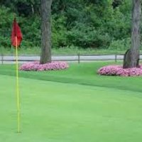 Batavia Boys Golf (@bataviagolf) 's Twitter Profile Photo