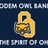 TheSpiritofOHS's profile image