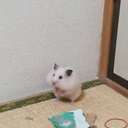 まさひろ (@0sahi6) Twitter