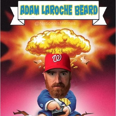 Profile Picture of Adam Laroche's Beard (@ALarocheBeard) on Twitter