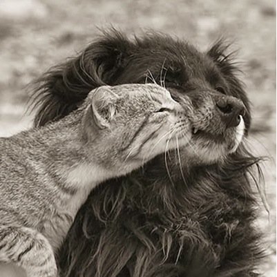LOVE is a MIRACLE