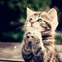 roxana arias - @roquitoar - Twitter