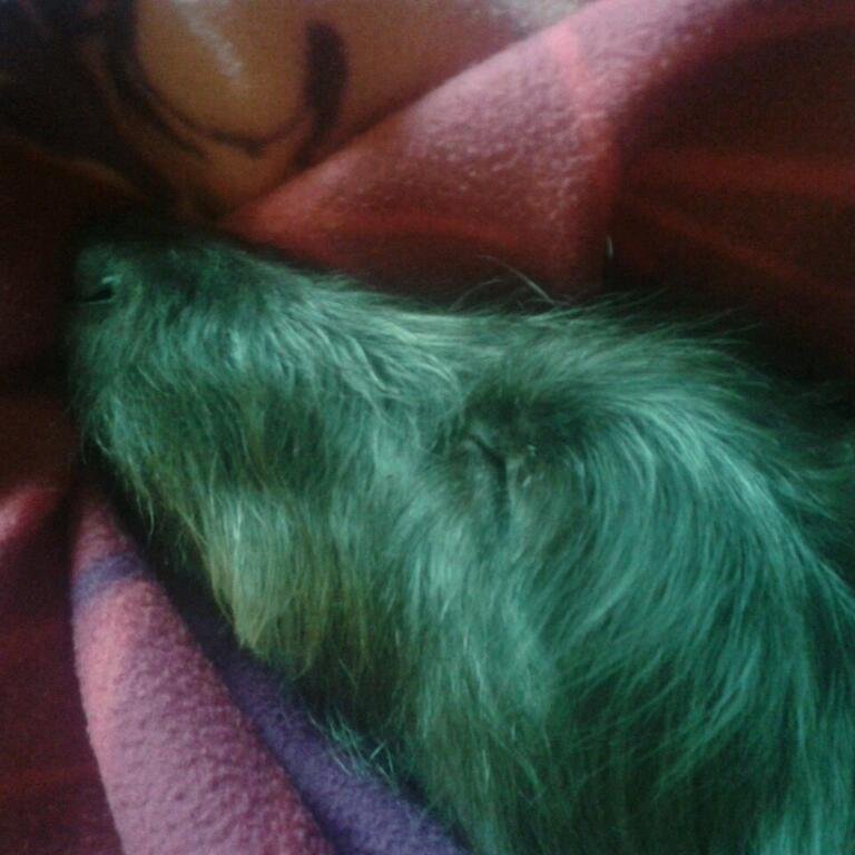 Tezzaboy1966's profile picture. 