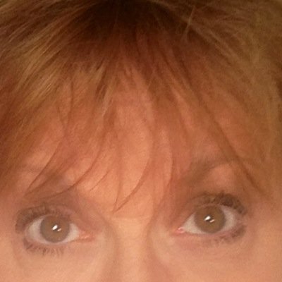 mpetrucciwilson's profile picture. 