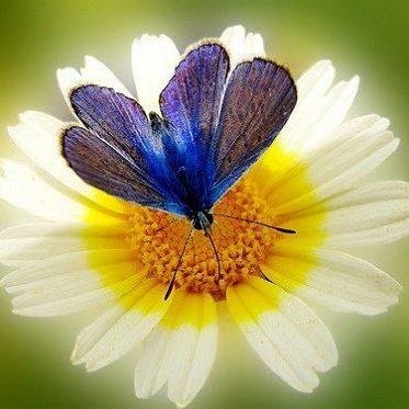 Miracles do come true when we have faith in Our Lord God and his only Son Jesus Christ, so Dream often Believe always & Love forever!
