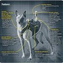 Miles Berg - @Me2FunkMaster - Twitter