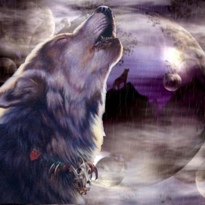 _stay_410n3's profile picture. 