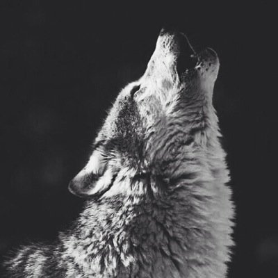 oMiseryy's profile picture. 