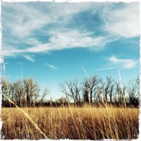 Brigid (@bellevuebrigid) 's Twitter Profile