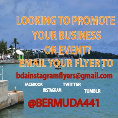 bermuda441's profile picture. 