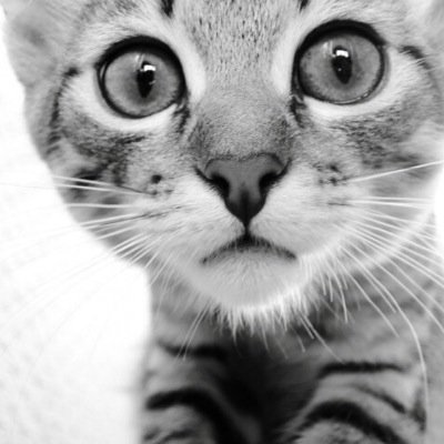 shabelski89's profile picture. Но дело того стоит!