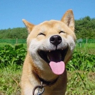 ぐへぺろ。