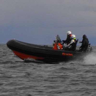 billykinky12's profile picture. 