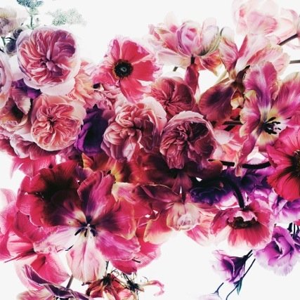 fresh flowers & home decor
20, 100 Palisades Way, Sherwood Park, Ab
780-417-1152
jan@sticksandstonesflowers.ca