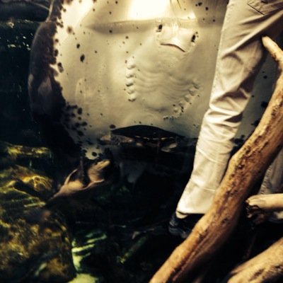 susanlarson3's profile picture. 