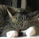 Arianna Burch - @amburch07 - Twitter