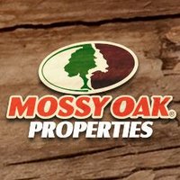 Mossy Oak Properties (@moplandforsale) 's Twitter Profile Photo Mossy Oak Properties (@moplandforsale) 's Twitter Profile Photo