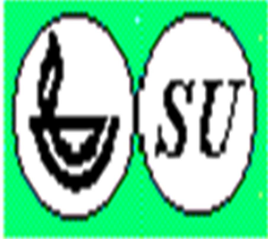 SaloneSu's profile picture. 