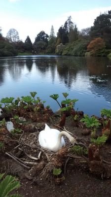 createphotog's profile picture. https://t.co/M5YtEZ2ISa