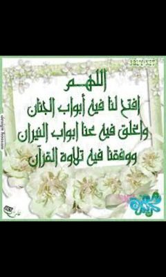 مواطن بسيط على قد حالي
