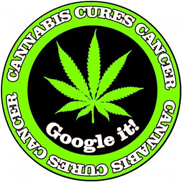 Cannabis is the cure for many ailments. more light must be shown on this miracle plant