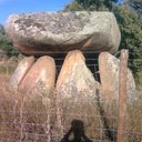 joaquim  afonso - @AfonsoQuim - Twitter