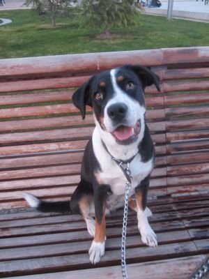 ManutiEspartaco's profile picture. 