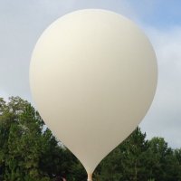 Kimberly Johnson (@stem_kim) 's Twitter Profile