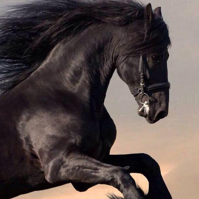 ‏لكل الناس وطن يعيشون فيه ، إلا نحن فلنا وطن يعيش فينا . 🇰🇼 Q8