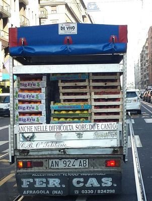 fiorevittorio70's profile picture. 