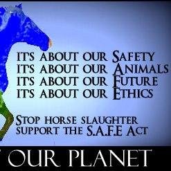 Keep Our Food & #Horses Safe-Stop #Slaughter-Save our #WildHorses & #Burros-Sign Share Call Reps-PASS SAFE Act! http://t.co/txSLLCzmCd  No politics/bashing here