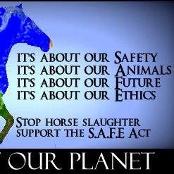 Keep Our Food & #Horses Safe-Stop #Slaughter-Save our #WildHorses & #Burros-Sign Share Call Reps-PASS SAFE Act! http://t.co/txSLLCzmCd  No politics/bashing here