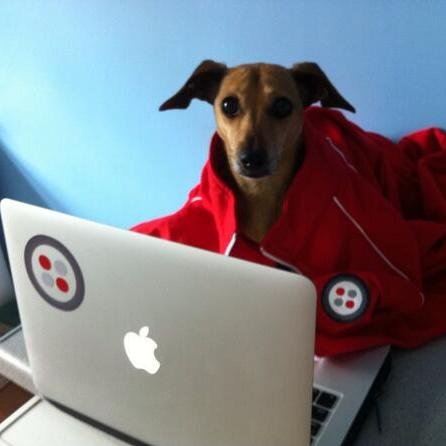 sausage_the_dog's profile picture. I'm a Dachshund that likes writing Twiml, real ale, bombay mix, my ball, rolling on my Dad's feet (back-rubs) & sleeping in the sun. Woof!