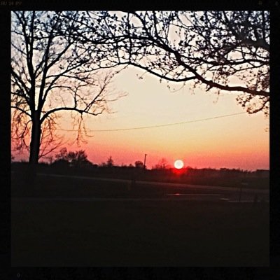 Maddie_Westlake's profile picture. https://t.co/M5X0gcDTSQ a relationship with https://t.co/yZbtIo5s1e to dance.Softball girl.Artistic. Reddio