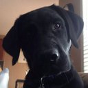 Kendall Mills - @kandyo27 - Twitter