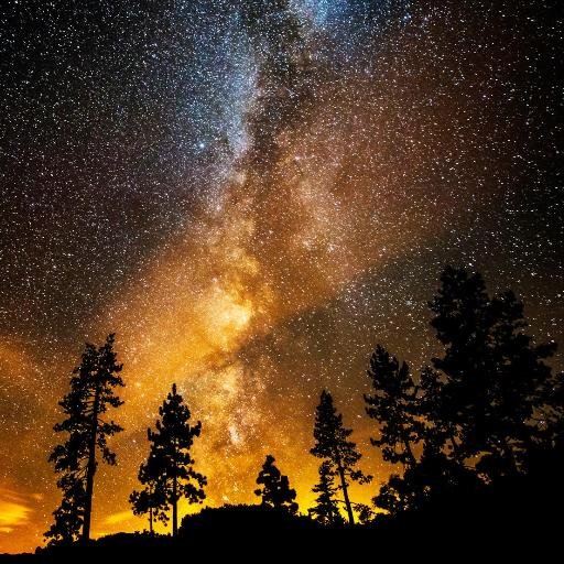 createdfreedom's profile picture. Freedom is not intangible. You create it through the choices and actions you take