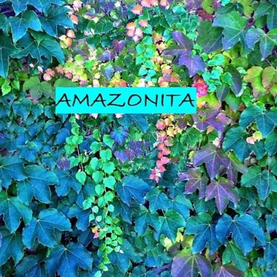 Ropa y accesorios de Miami y Buenos Aires. Estamos en Providencia pero hacemos despachos a todo Chile.