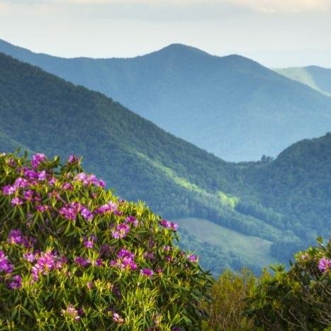 Cabin In Asheville is 3 peaceful cabins for rent in the Mountains. Stay in luxury, enjoy relaxing on the deck or in the hot tub. Fall in love with Asheville.