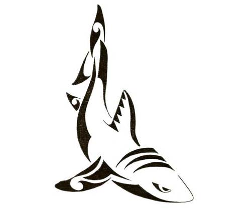 Polycrav's profile picture. 