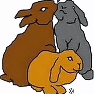 Blije beestjes en andere dingen waar je heppie van wordt😉