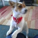 Jean Dey - @e881d0198ec0480 - Twitter