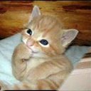 HAYDEE PALMA - @FranBelenHunter - Twitter